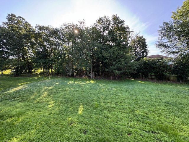 196 Blue Heron Drive, Ringgold, GA 30736