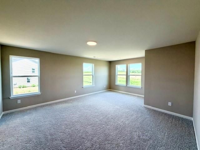 4633 Island Park Drive, Woodbury, MN 55129