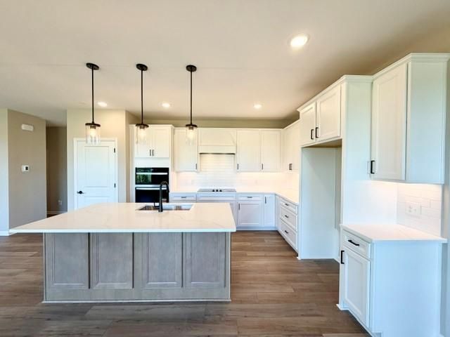 4633 Island Park Drive, Woodbury, MN 55129