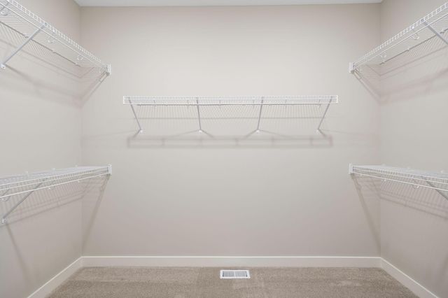 17019 Traprock Street NW, Ramsey, MN 55303