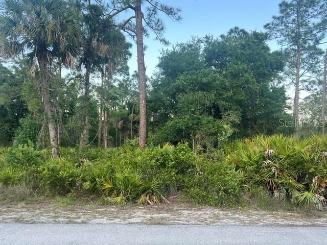 13352 RODIN DRIVE, Punta Gorda, FL 33955