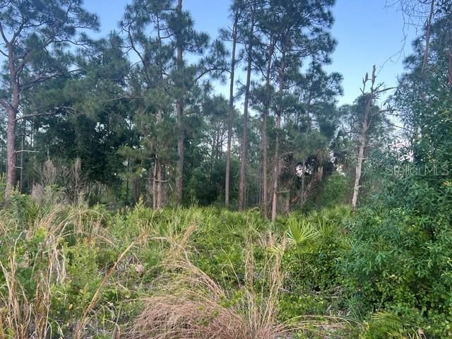 13352 RODIN DRIVE, Punta Gorda, FL 33955