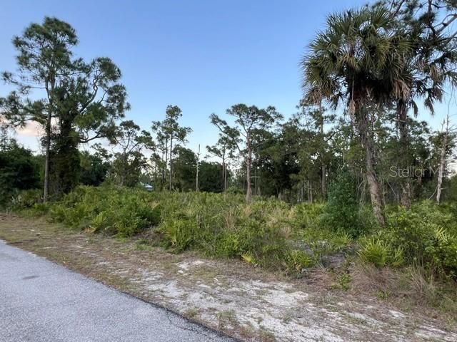 13352 RODIN DRIVE, Punta Gorda, FL 33955