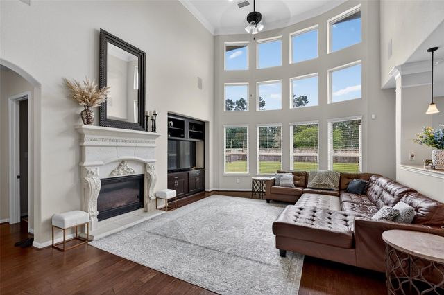25238 Birchwood Springs Avenue, Porter, TX 77365