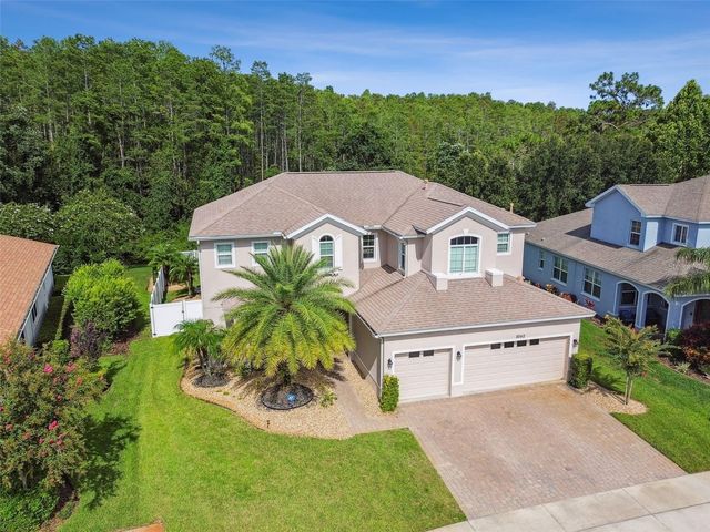 8542 EAGLE BROOK DRIVE, Land O Lakes, FL 34638