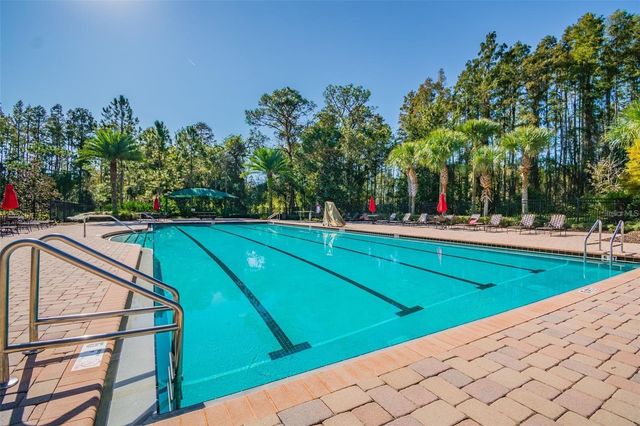 8542 EAGLE BROOK DRIVE, Land O Lakes, FL 34638