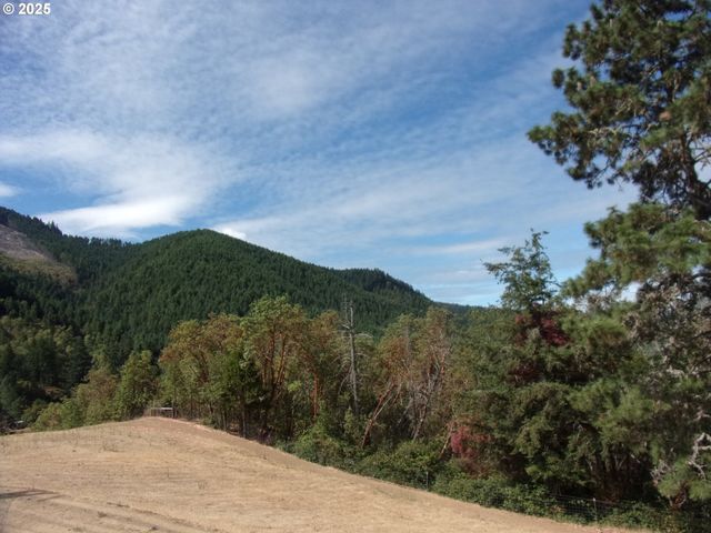 375 JORDAN CREEK Rd, Riddle, OR 97469