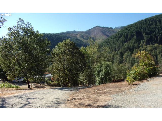 375 JORDAN CREEK Rd, Riddle, OR 97469
