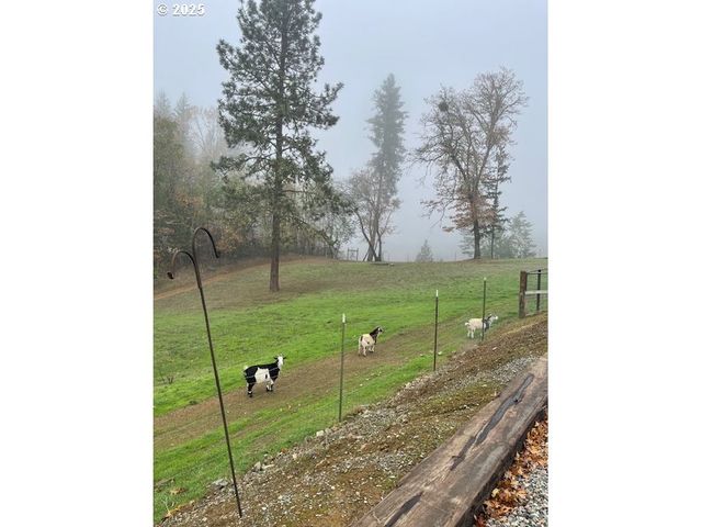 375 JORDAN CREEK Rd, Riddle, OR 97469