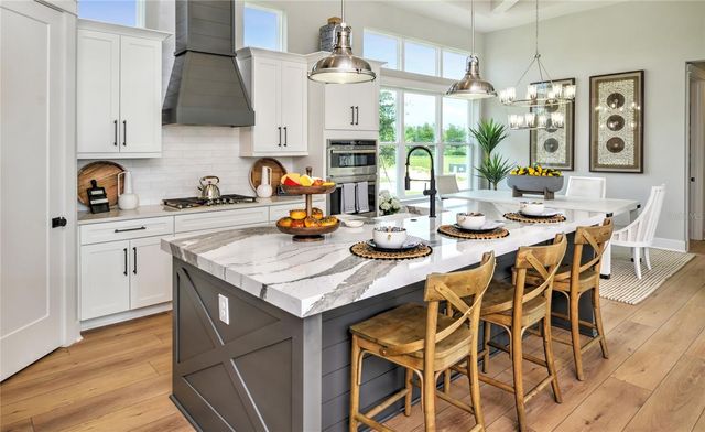 16884 FULL SUN ALLEY, Land O Lakes, FL 34638