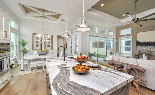 16884 FULL SUN ALLEY, Land O Lakes, FL 34638
