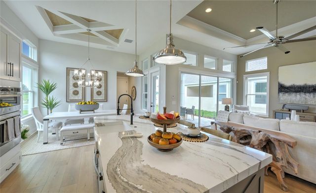16884 FULL SUN ALLEY, Land O Lakes, FL 34638