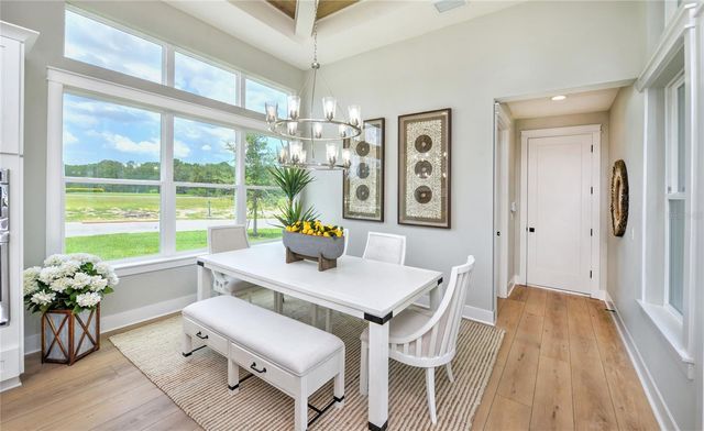 16884 FULL SUN ALLEY, Land O Lakes, FL 34638
