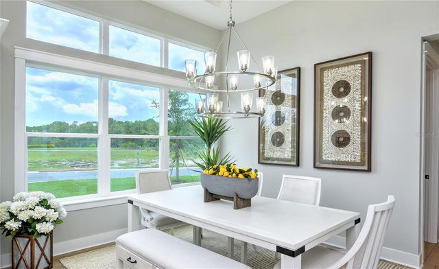 16884 FULL SUN ALLEY, Land O Lakes, FL 34638