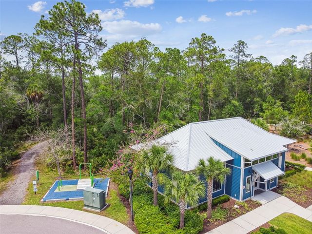 16884 FULL SUN ALLEY, Land O Lakes, FL 34638