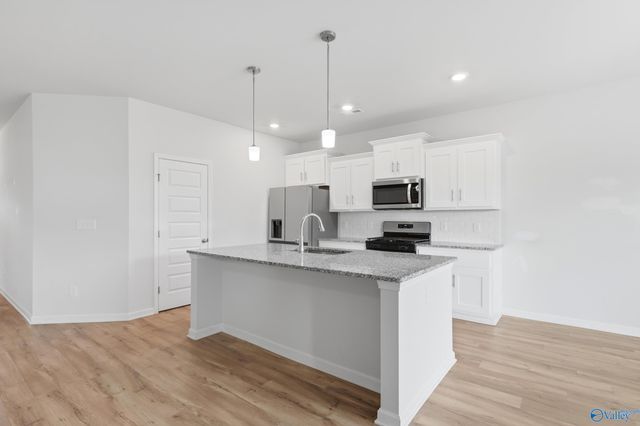 250 Paladin Street, New Market, AL 35761
