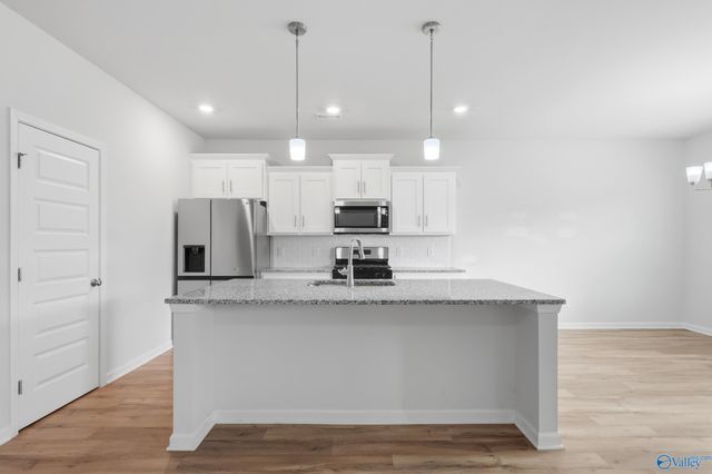 250 Paladin Street, New Market, AL 35761
