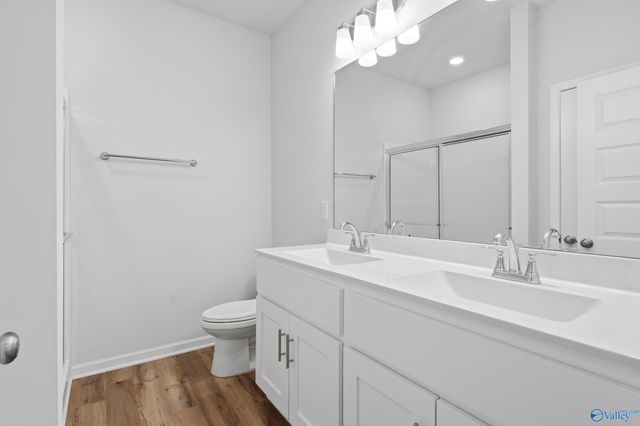 250 Paladin Street, New Market, AL 35761
