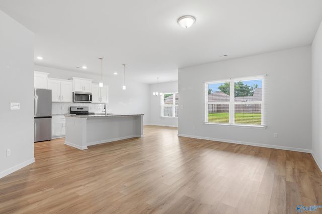 250 Paladin Street, New Market, AL 35761