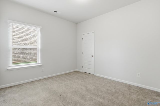 250 Paladin Street, New Market, AL 35761