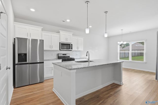 250 Paladin Street, New Market, AL 35761