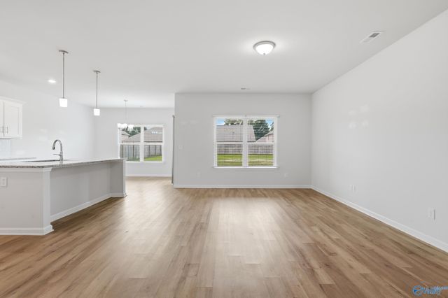 250 Paladin Street, New Market, AL 35761