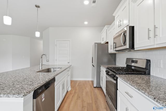 250 Paladin Street, New Market, AL 35761