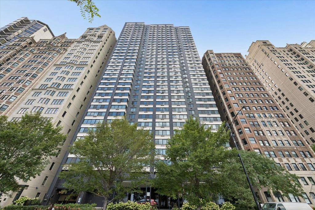 1440 N Lake Shore Drive 12H, Chicago, IL 60610