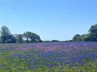 TBD 119 Fm 1227 Road, Navasota, TX 77868