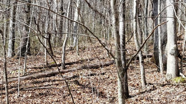 112 Rainbow Trout Road, Burnsville, NC 28714