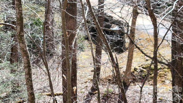 112 Rainbow Trout Road, Burnsville, NC 28714