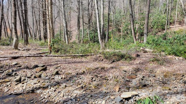 112 Rainbow Trout Road, Burnsville, NC 28714