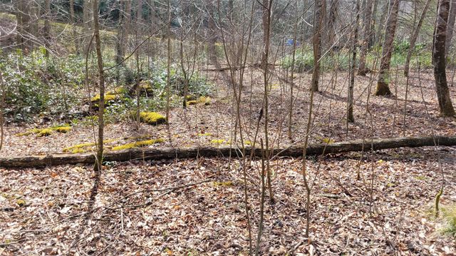 112 Rainbow Trout Road, Burnsville, NC 28714
