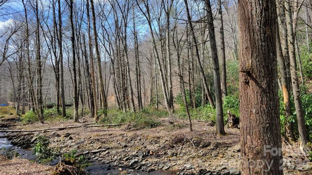 112 Rainbow Trout Road, Burnsville, NC 28714