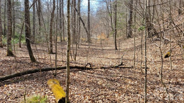 112 Rainbow Trout Road, Burnsville, NC 28714