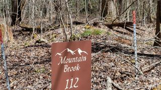 112 Rainbow Trout Road, Burnsville, NC 28714