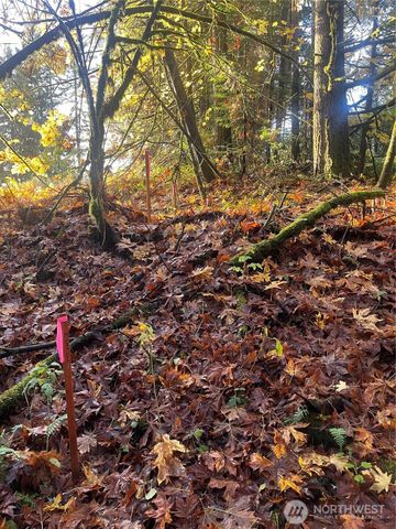 8621 SE Bethel Burley Road, Port Orchard, WA 98367