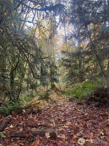 8621 SE Bethel Burley Road, Port Orchard, WA 98367