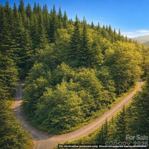 000 Hawk Mountain Road, Lake Toxaway, NC 28747