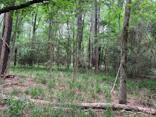 00 Wilderness Road, Point Blank, TX 77364