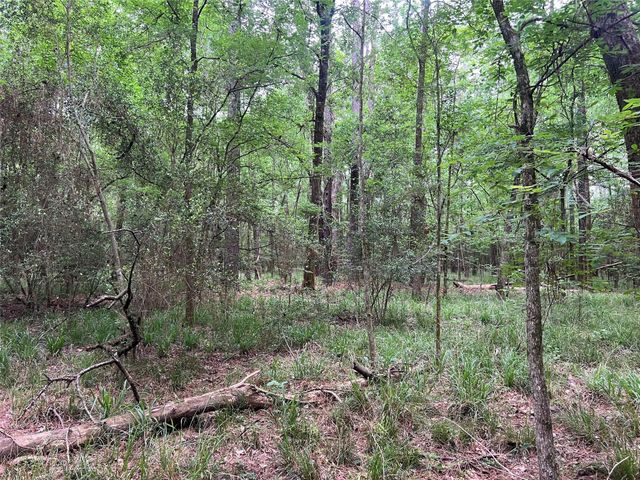 00 Wilderness Road, Point Blank, TX 77364