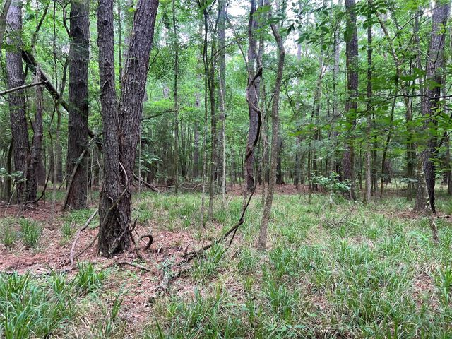 00 Wilderness Road, Point Blank, TX 77364