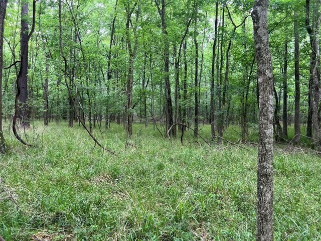 00 Wilderness Road, Point Blank, TX 77364