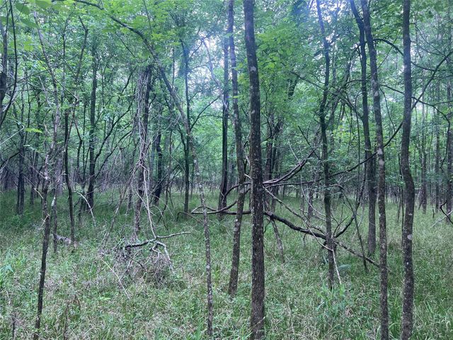 00 Wilderness Road, Point Blank, TX 77364
