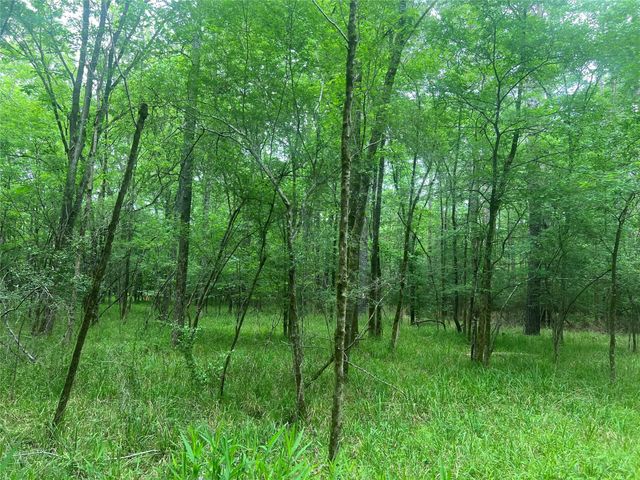 00 Wilderness Road, Point Blank, TX 77364