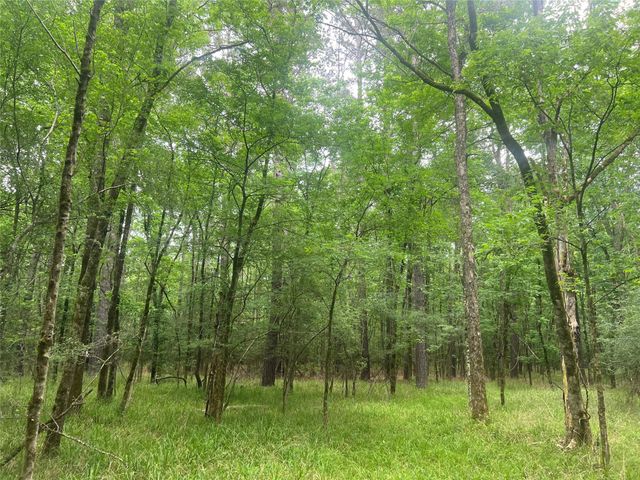 00 Wilderness Road, Point Blank, TX 77364