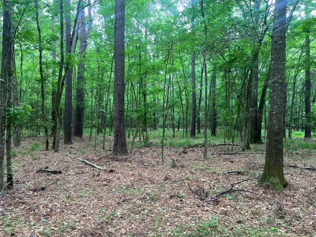 00 Wilderness Road, Point Blank, TX 77364