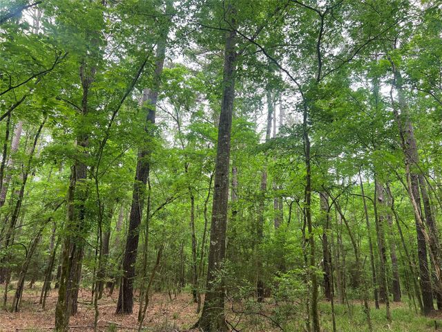 00 Wilderness Road, Point Blank, TX 77364