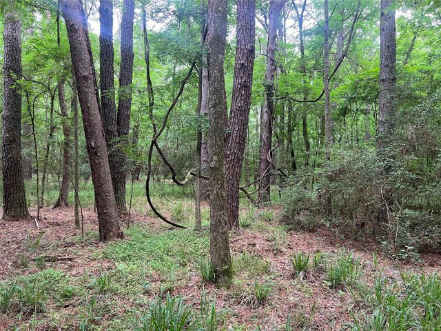 00 Wilderness Road, Point Blank, TX 77364