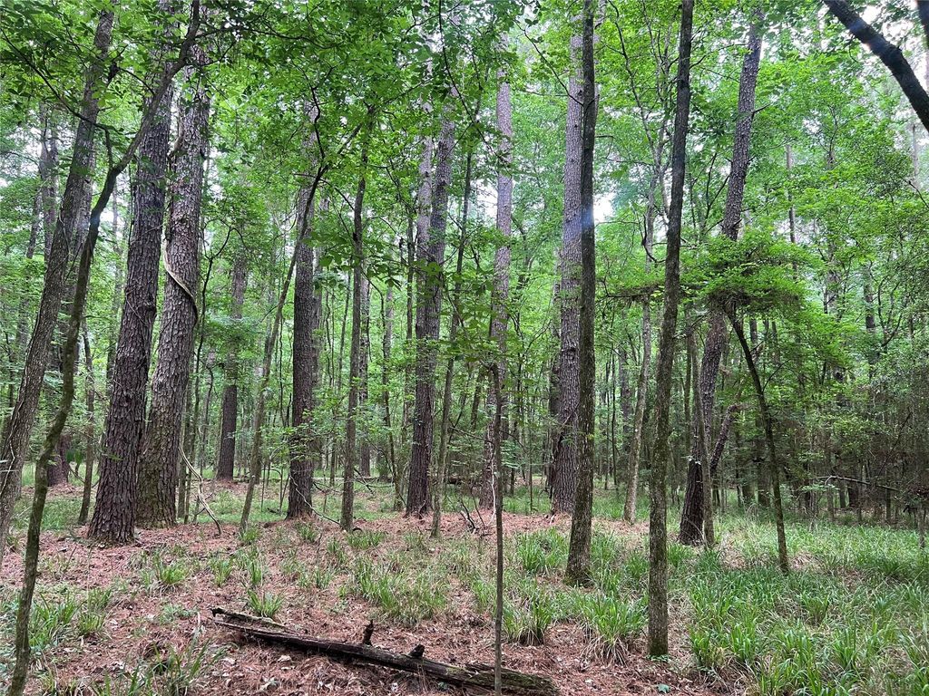 00 Wilderness Road, Point Blank, TX 77364